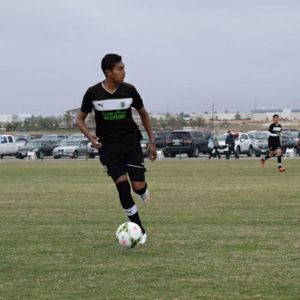 Meet your Posher, Martin